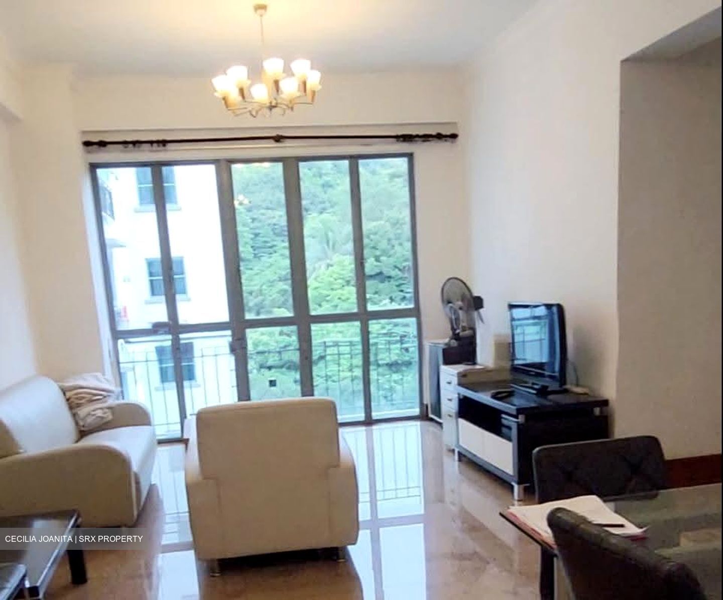 Springdale Condominium (D21), Condominium #615856971